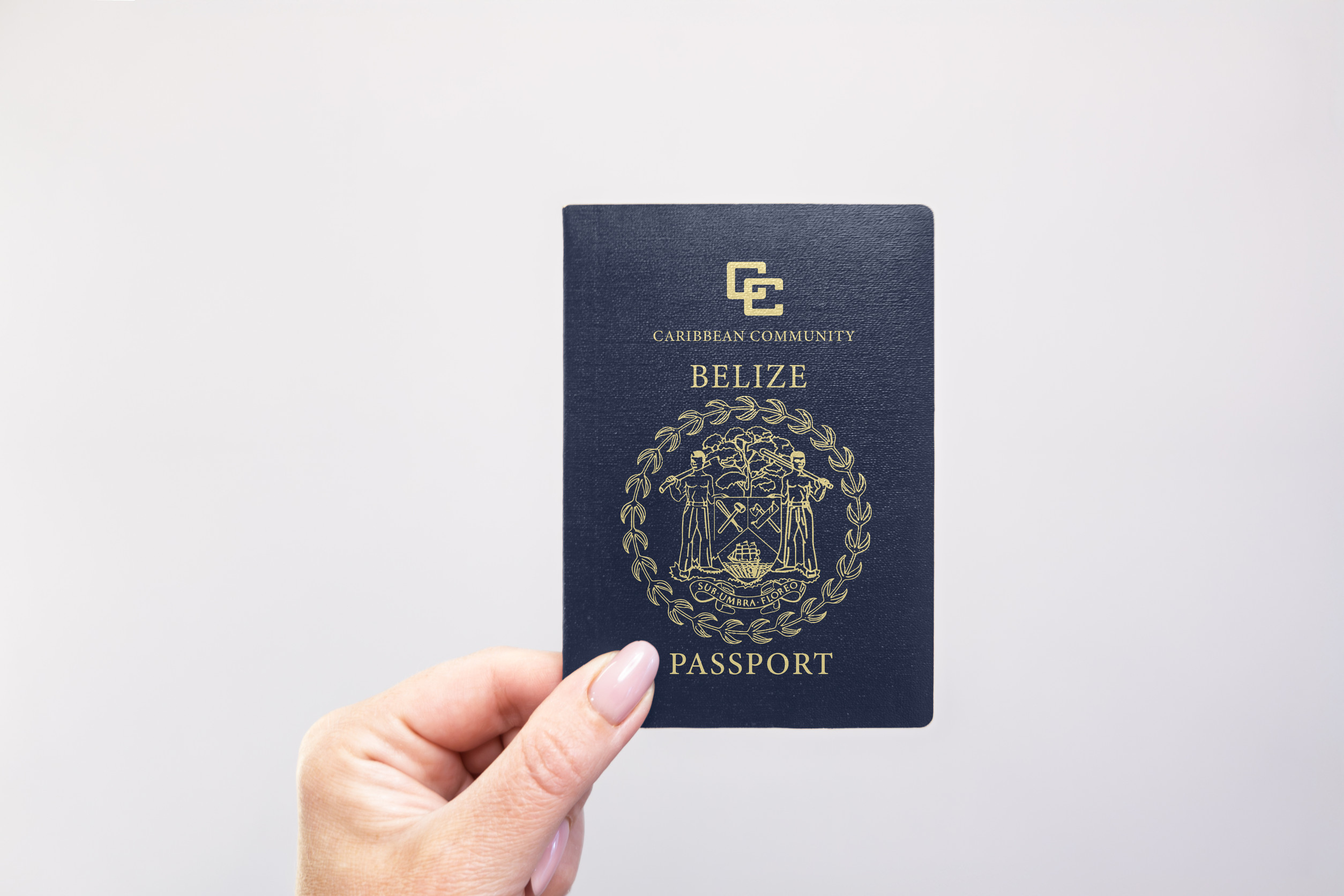 Belize Passport Held In Hand Against A Plain White Background