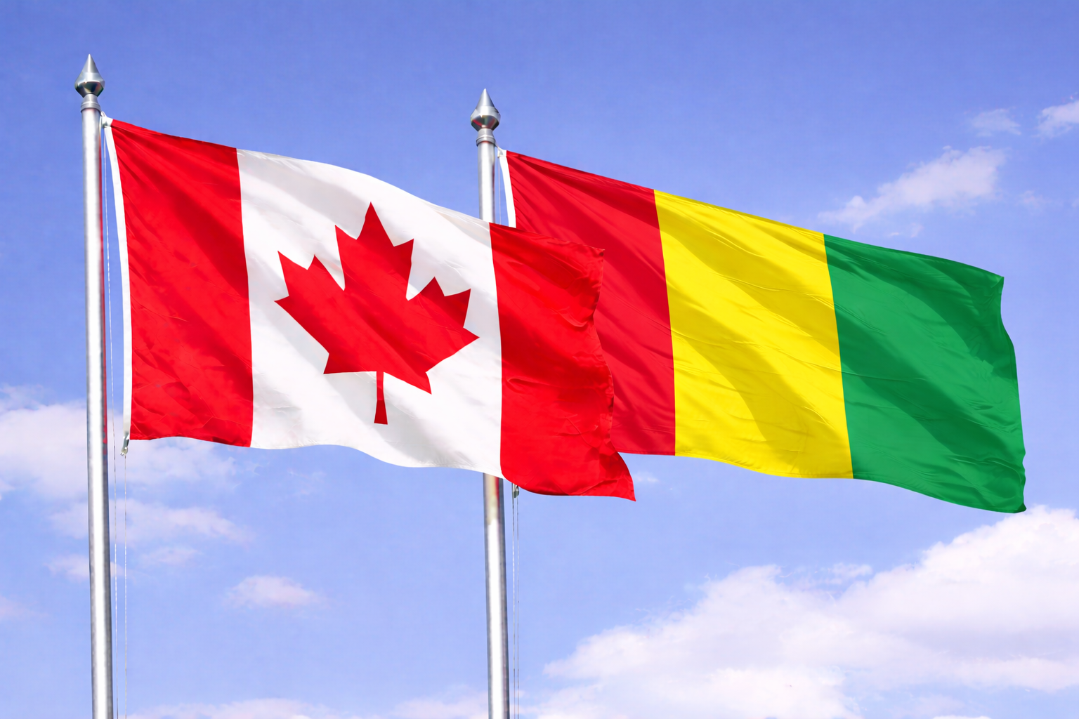 Cananda Flag With Guinea Flag