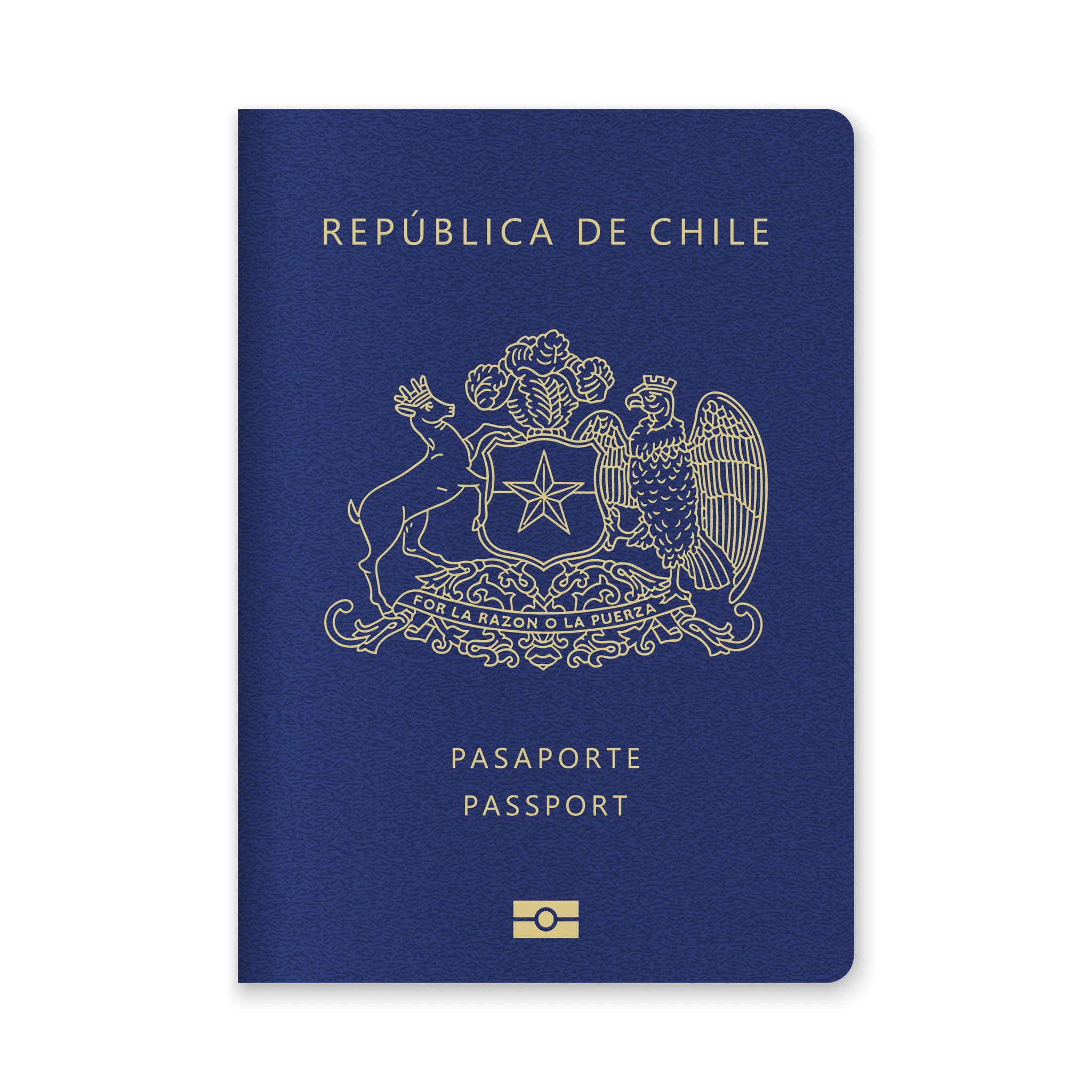 Close Up Of A Chile Passport