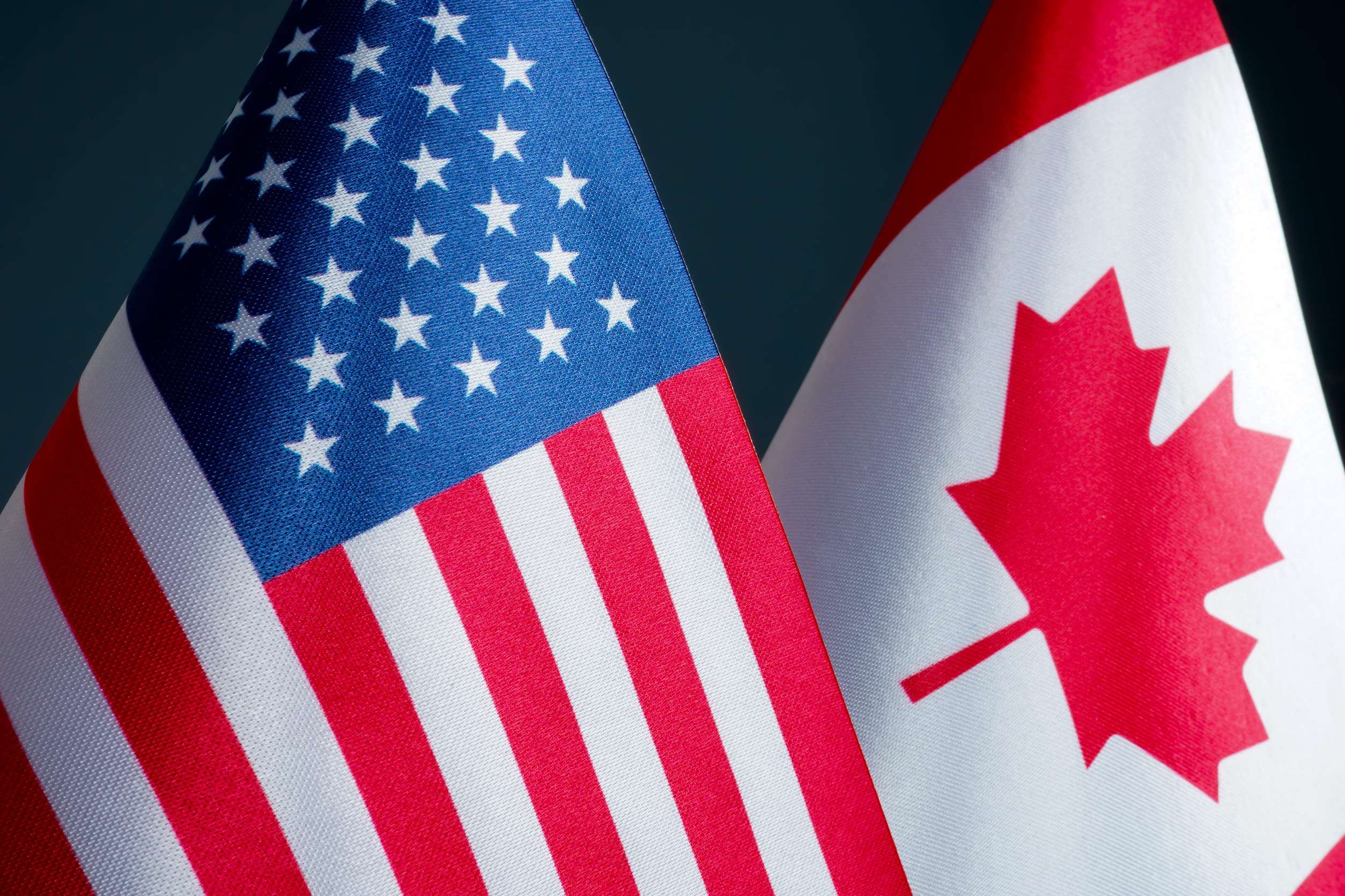 Flags Of Canada And Usa