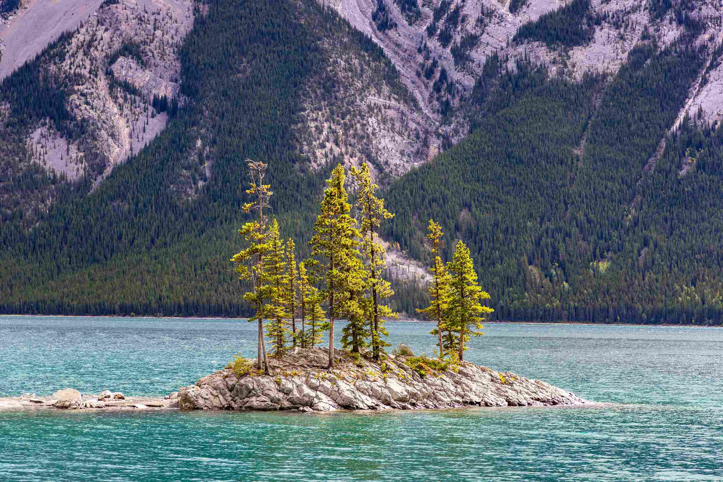 place-holder