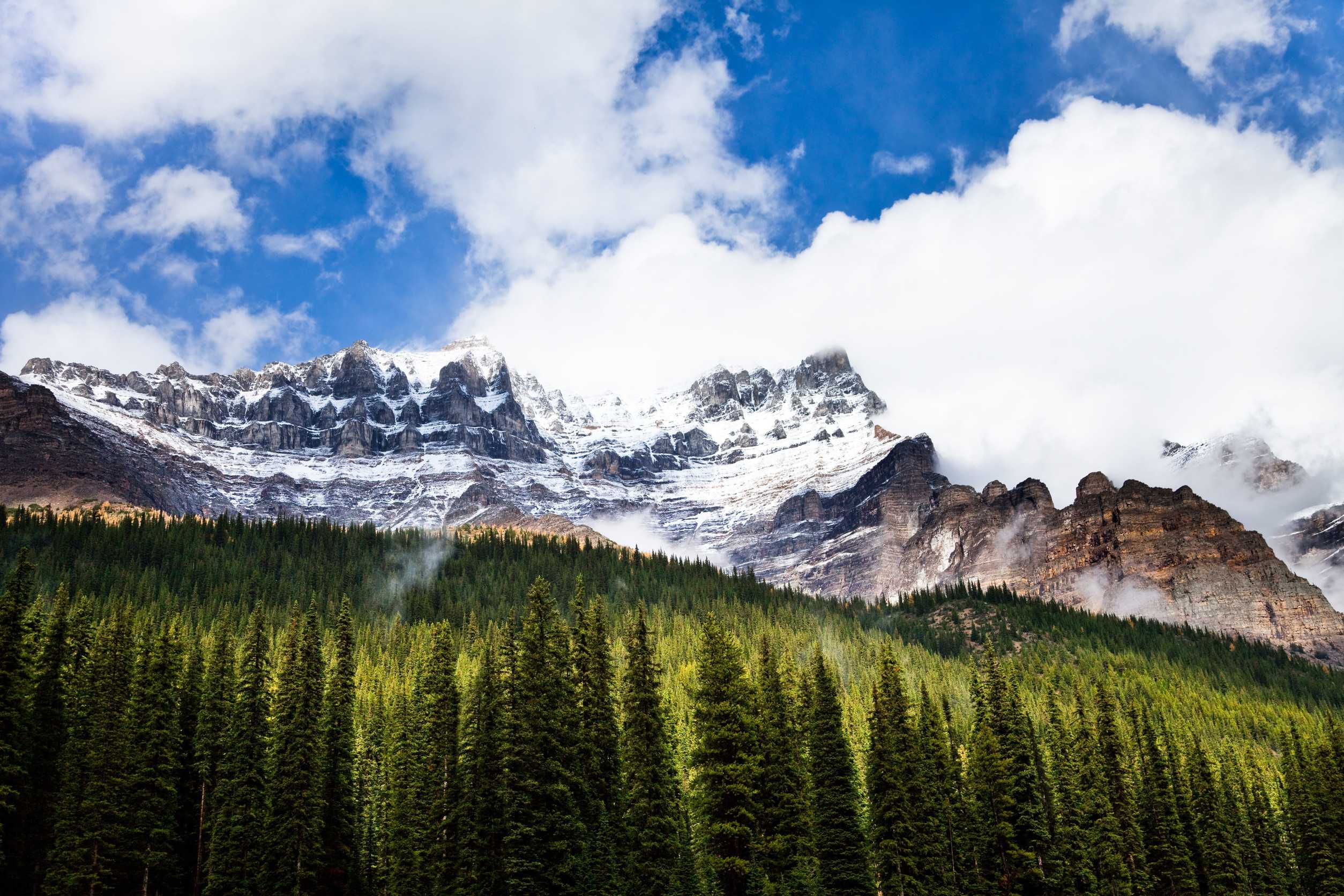 Rocky Mountains And Forest In The Banff National Park