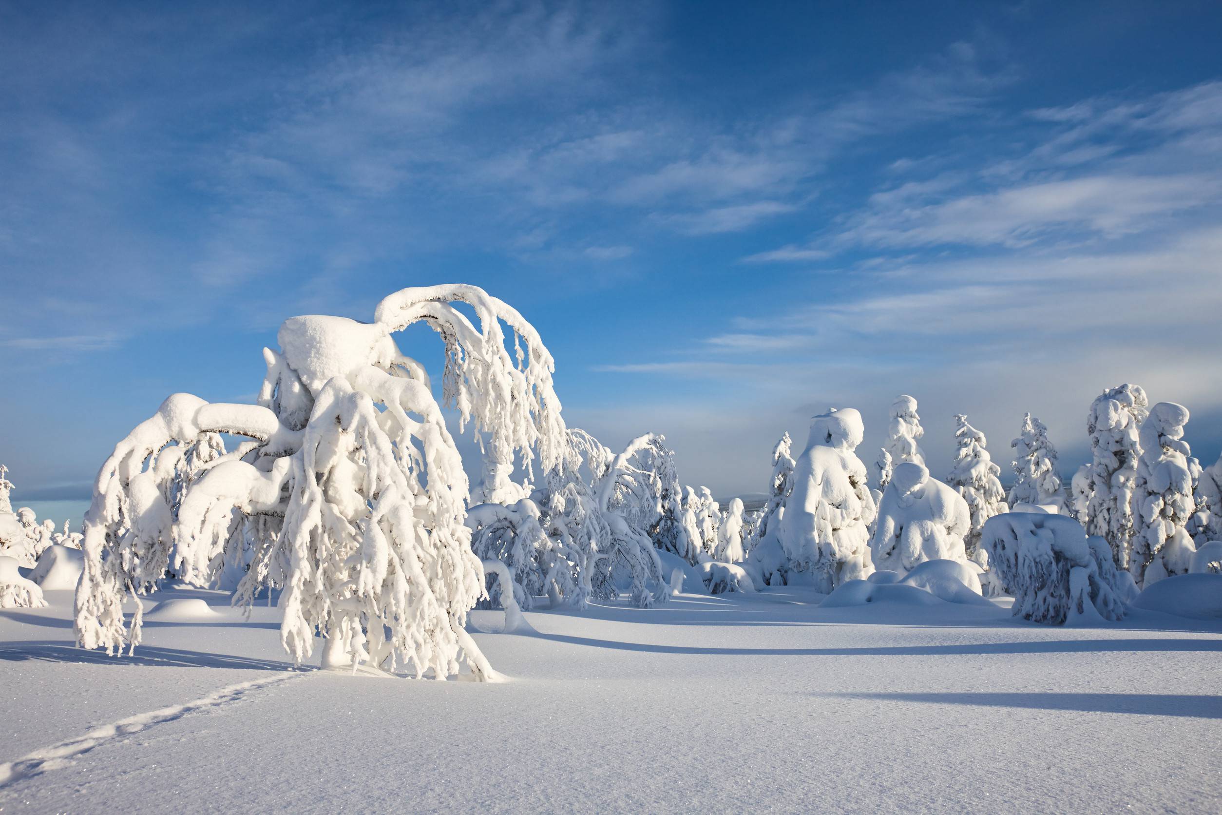 place-holder
