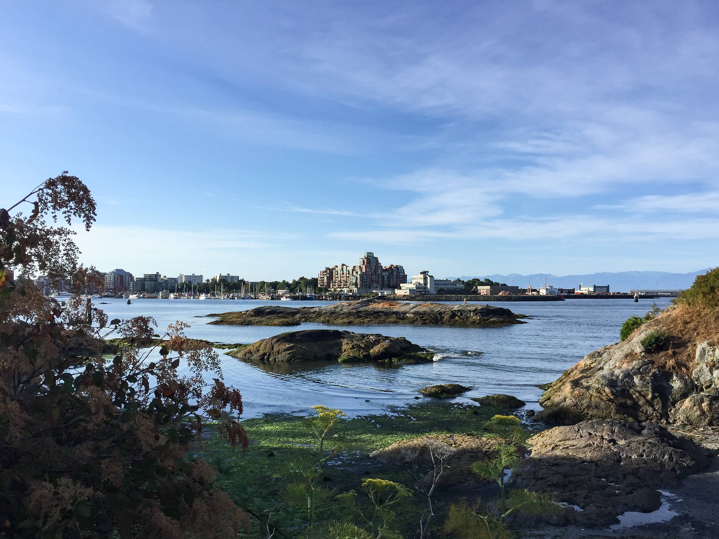 View Of Victoria Harbour In British Columbia Canada