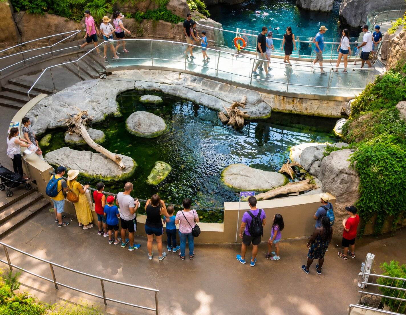 Zoo exhibit with walking visitors